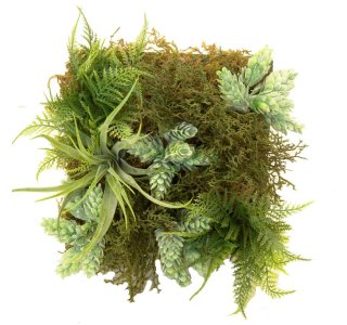 Blumenbox