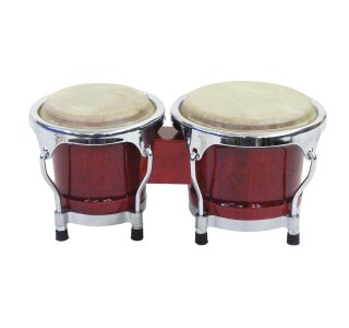 Percussion & Rhythmus