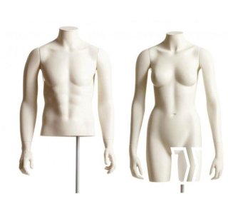 Torsos & Bsten