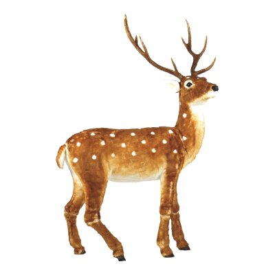 Waldtiere