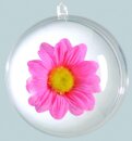 Ball plastic, 2 halves, to fill     Size: Ø 8cm    Color: clear