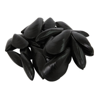 Shells 24pcs./bag, plastic     Size:     Color: black