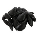 shells 24pcs./bag - Material: plastic - Color: black - Size: