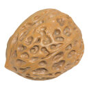 Walnut  - Material: polyresin - Color: natural-coloured -...