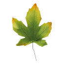 Maple leaves 2pcs./bag - Material: made of paper - Color:...