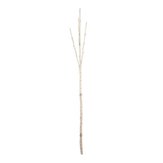 Birch trunk 3-fold - Material: plastic - Color: white - Size:  X 180cm