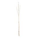 Birch trunk 3-fold - Material: plastic - Color: white -...