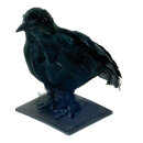 Raven  - Material: styrofoam feathers plastic - Color:...