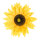 Sunflower head  - Material: artificial silk - Color: green/yellow - Size: Ø 35cm