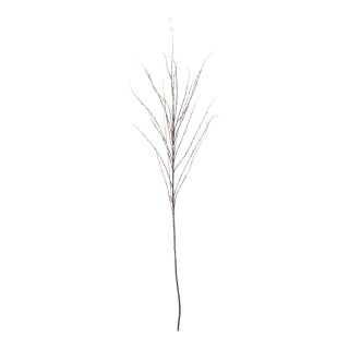 Twig flocked  - Material: 20 branches plastic - Color: brown/white - Size:  X 120cm