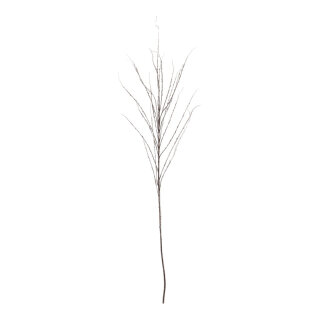 Zweig, beflockt 20 Äste, Kunststoff     Groesse: 120cm    Farbe: braun/weiß