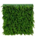 Grasplatte im Holzrahmen, 50x50x9cm