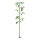Bambusrohr mit Blättern,  Größe: Ø 2,5cm, Farbe: grün   #
