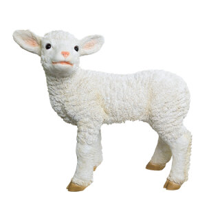 Lamb, standing polyresin, for in- and outdoor     Size: 40x38x16cm    Color: white