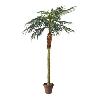Phoenix palm in pot x14 782 leaves - Material: artificial silk PVC - Color: green - Size:  X 210cm