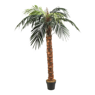 Phönix-Palme im Topf Kunststoff, Kunstseide     Groesse: 180cm - Farbe: grün/braun #