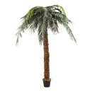 Phoenix palm in pot  - Material: plastic artificial silk...