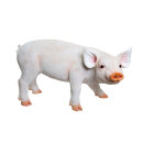 Pig, standing polyresin, for in- and outdoor 47x24x28cm...