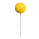 Cake Pops on stick  - Material: styrofoam - Color: yellow...