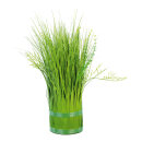 Grasbündel Kunststoff Größe:Ø 10cm, 35cm Farbe: grün    #
