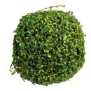 Wooden ball with duckweeds     Size: Ø 20cm...