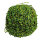 Holzflechtkugel mit Wasserlinsen     Groesse: Ø 20cm    Farbe: grün/braun