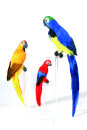 Parrot assorted colours, styrofoam, with feathers...