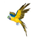 Papagei, fliegend Styropor mit Federn     Groesse:...