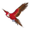 Parrot, flying styrofoam with feathers     Size: 73x76cm...
