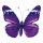 Schmetterling mit Clip Flügel aus Papier, Körper aus Styropor     Groesse: 20x30cm - Farbe: violett
