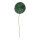Seerosenblatt mit Stiel Schaumstoff, Gesamtlänge ca. 90cm     Groesse: Ø 30cm - Farbe: grün