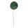 Water lily leaf with stem  - Material: foam total length ca. 90cm - Color: green - Size: Ø 30cm