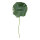 Seerosenblatt mit Stiel Schaumstoff, Gesamtlänge ca. 90cm     Groesse: Ø 40cm - Farbe: grün