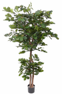 Eichenbaum, 2 Stämme, 1.054 Blätte,r 78 Eicheln, 180cm