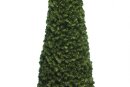 Fir-cone tree, green, spruce