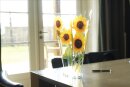 Endless Flower Sonnenblume, 30x70cm