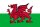 Flagge, Abmessung: 90x150cm,  Farbe: Wales