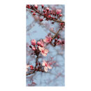 Motivdruck "Kirschblütenzweig", Papier, Größe: 180x90cm Farbe: blau/pink   #