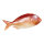 perch synthetic material - Material:  - Color: red - Size: 40 cm lang