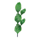 Feigenkaktus Kunststoff     Groesse: 90 cm - Farbe: grün