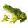 Frosch Kunstharz     Groesse: 22x18x14 cm    Farbe: grün
