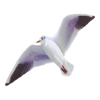 Flying seagull cardboard, printed on both sides     Size: 39cm wing span, 15cm high    Color: white/black