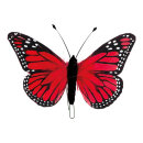 Butterfly feathers 13x20 cm Color: red/pink