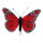 Schmetterling Federn     Groesse: 13x20 cm    Farbe: rot     #