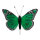Schmetterling Federn     Groesse: 13x20 cm    Farbe: grün     #