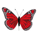 Schmetterling Federn, Größe: 18x30 cm Farbe: rot   #