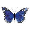 Butterfly feathers 18x30 cm Color: blue