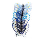 Schmetterling Federn, 12-tlg.     Groesse: 12x7 cm...