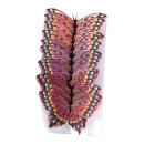 Schmetterling Federn, Größe: 12x7 cm Farbe: grün   #