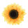 Sonnenblumenkopf Kunstseide Abmessung: Ø 50cm Farbe: gelb/natur